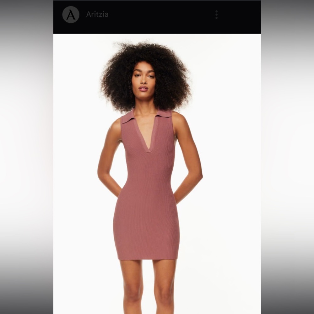 Aritzia Polo Dress